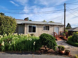 203 Morning Sun Ave in Mill Valley, CA - Building Photo