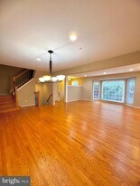 11433 Hollowstone Dr in Rockville, MD - Building Photo