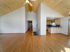 46 Timothy Ct in Fairplay, CO - Building Photo - Building Photo