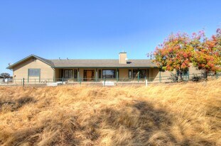 19580 Watts Valley Rd in Sanger, CA - Building Photo