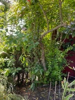 property at 450 60th St