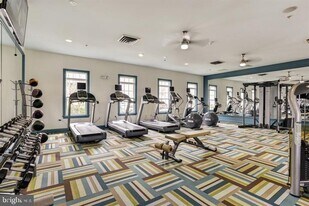 6625 Latrobe Falls in Elkridge, MD - Building Photo