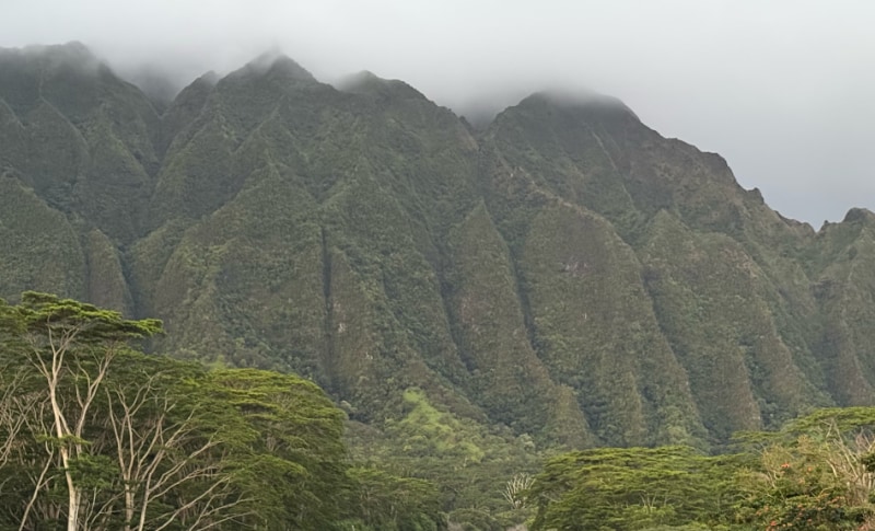45-660-660 Luluku Rd in Kaneohe, HI - Building Photo