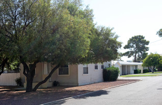 Madelines Apartments in Phoenix, AZ - Building Photo