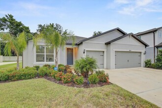 2824 Quail Crst Ct in Valrico, FL - Foto de edificio - Building Photo