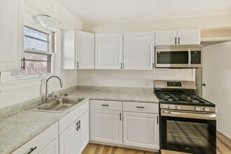 28 Apple Ln in Park Forest, IL - Foto de edificio - Building Photo