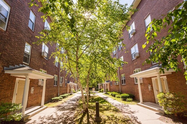Webster Street in Hartford, CT - Foto de edificio - Building Photo