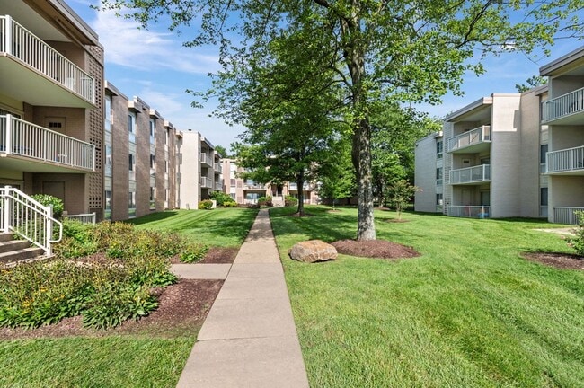 Surrey Square in Forestville, MD - Building Photo - Building Photo