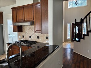 20903 Shady Isle Ct in Richmond, TX - Building Photo - Building Photo