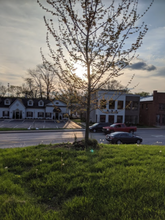 1503 S Walnut St in Bloomington, IN - Building Photo - Building Photo