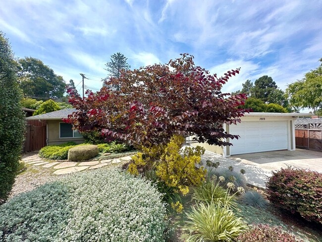 property at 3909 Maricopa Dr