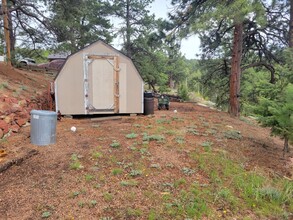 203 Tidi Rd in Florissant, CO - Building Photo - Building Photo