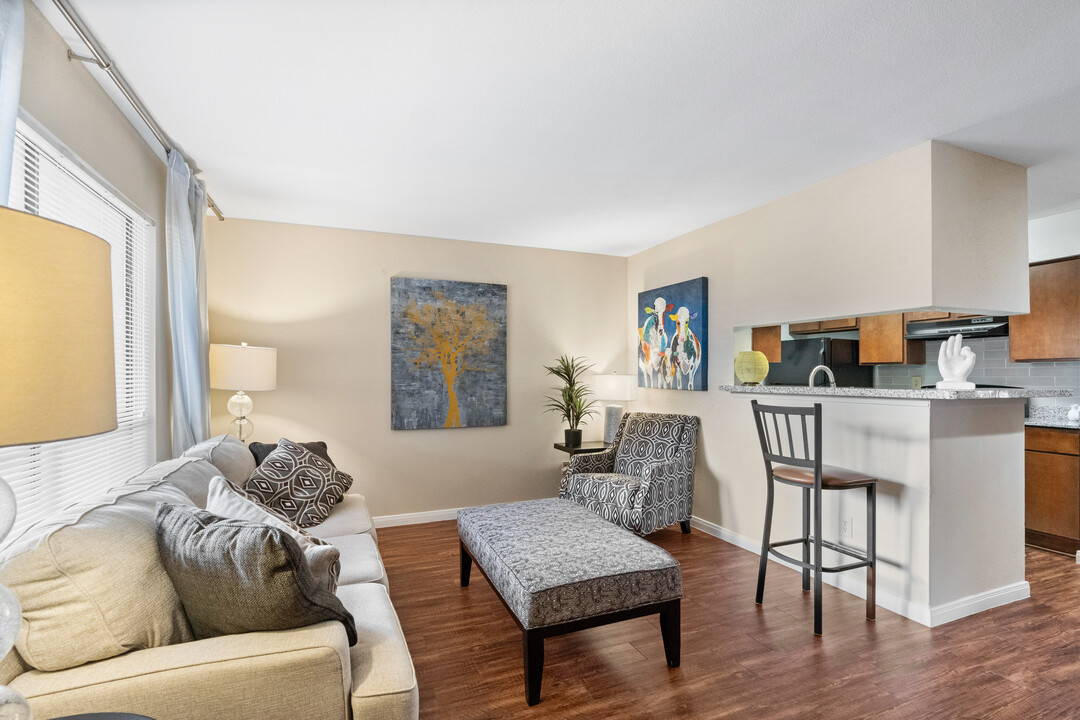 Winchester Place in Houston, TX - Building Photo