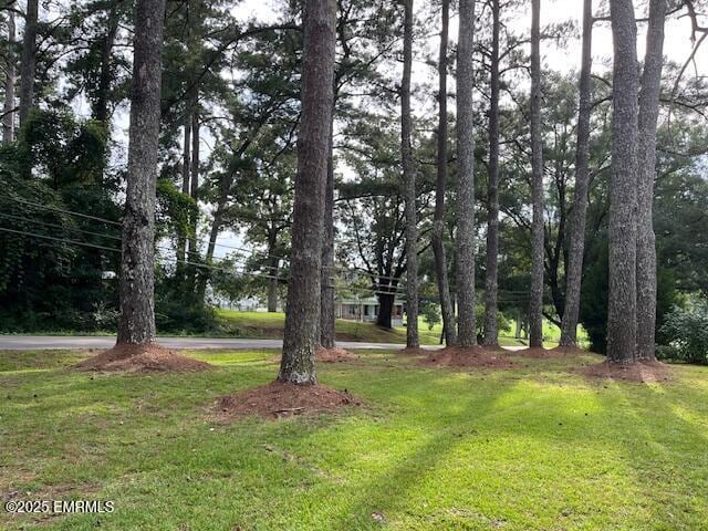 3509 Causeyville Rd in Meridian, MS - Building Photo - Building Photo