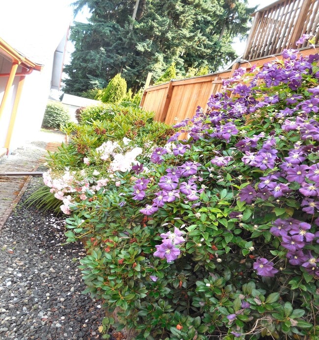 5036 Beach Way NE in Olympia, WA - Foto de edificio - Building Photo