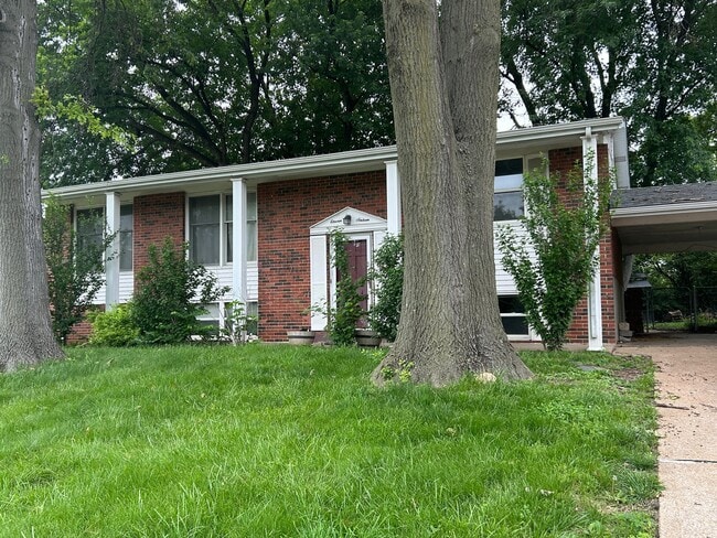 property at 1116 Dawn Valley Dr