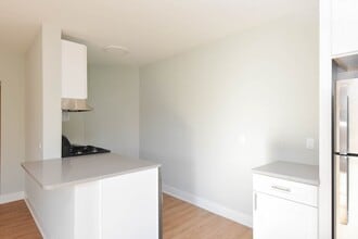 735 Judson Ave in Highland Park, IL - Building Photo - Building Photo
