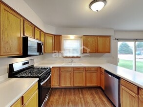 1907 Arbor Falls Dr in Plainfield, IL - Foto de edificio - Building Photo