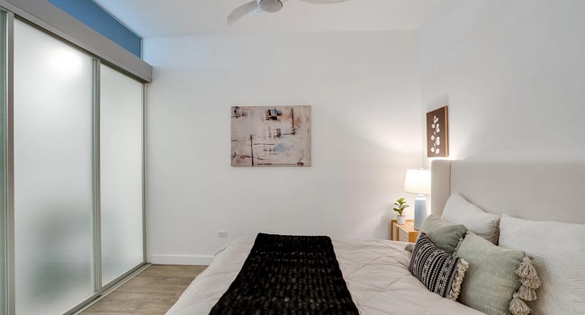 1451 S Halsted St, Unit 1451 in Chicago, IL - Building Photo - Building Photo