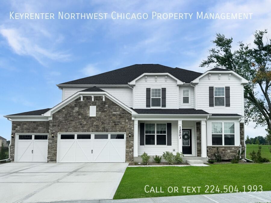12503 Eileen St in Lemont, IL - Foto de edificio