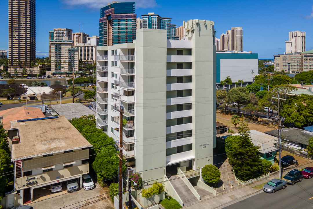 Lime tree Apartments in Honolulu, HI - Building Photo