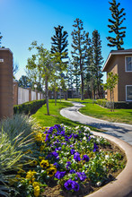 The Terrace in Riverside, CA - Building Photo - Building Photo