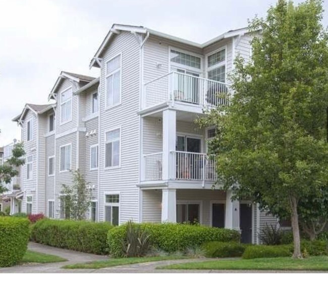 1131 63rd St SE Rentals in Auburn, WA