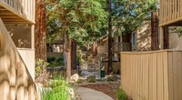 Tahoe at Fair Oaks Apartments photo'