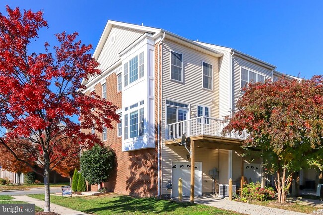 42634 Pine Forest Dr in South Riding, VA - Building Photo - Building Photo