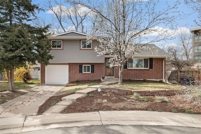 537 S Grape St in Denver, CO - Building Photo - Building Photo