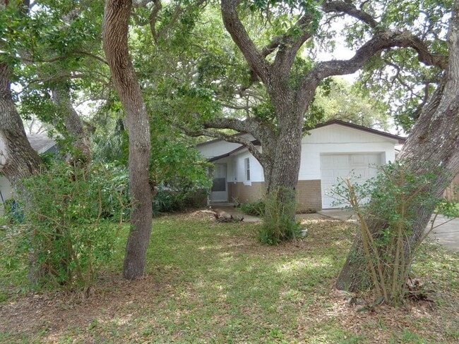 799 E 10th Ave in New Smyrna Beach, FL - Building Photo - Building Photo