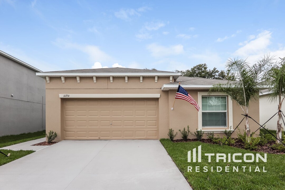 10234 Strawberry Tetra Dr in Riverview, FL - Building Photo