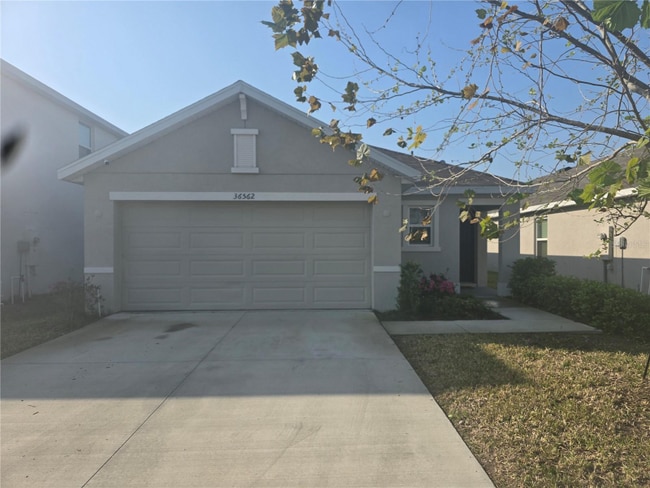 property at 36562 Silver Maize Dr