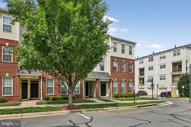 19445 Promenade Dr in Leesburg, VA - Building Photo - Building Photo
