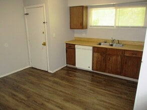 1008 Charlotte Dr in Normal, IL - Building Photo - Building Photo