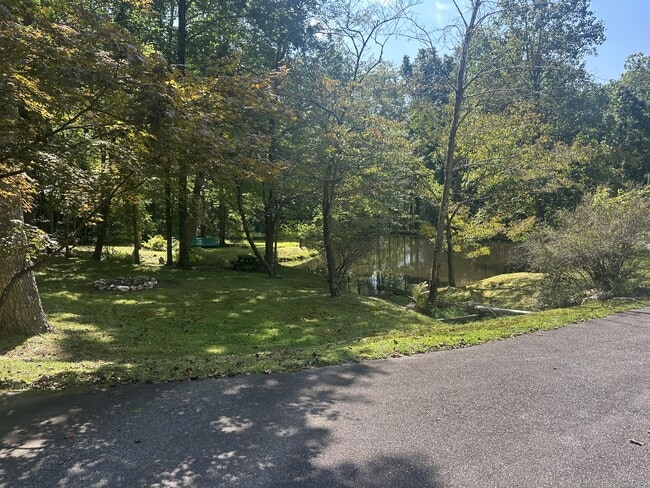 260 Fern Dr in Blairsville, GA - Building Photo - Building Photo