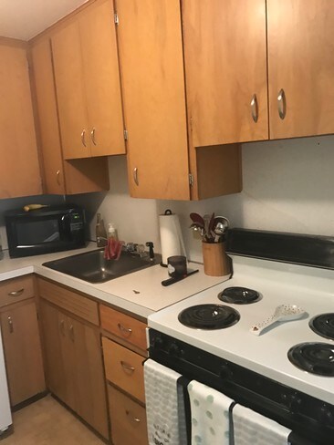203 Monroe St, Unit #1 in Saline, MI - Building Photo - Building Photo