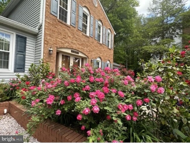 7801 Cliffside Ct in Springfield, VA - Building Photo - Building Photo