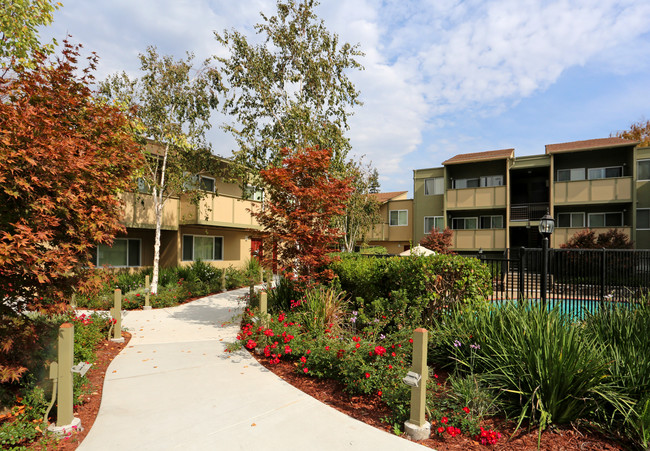 Town House Plaza in Castro Valley, CA - Foto de edificio - Building Photo