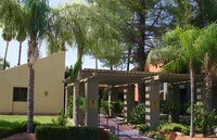 Building - River Oaks Apartamentos in Tucson, Arizona