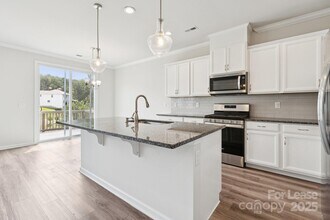 17121 Carolina Pine Row in Charlotte, NC - Building Photo - Building Photo