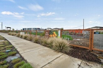 2451 Lake Club Dr in Fairfield, CA - Building Photo - Building Photo