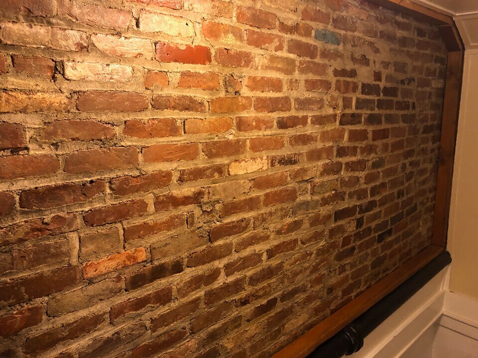 558 Park Ave in Albany, NY - Building Photo