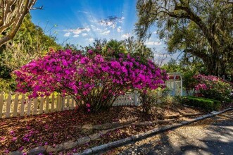 1242 Alexander St in Mount Dora, FL - Building Photo - Building Photo