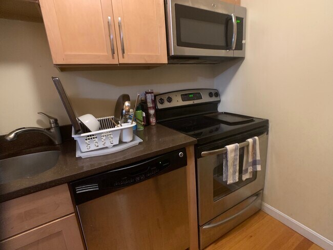 29 Brainerd Rd, Unit 306 in Boston, MA - Foto de edificio - Building Photo