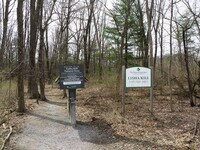 Apartments in Niskayuna, NY