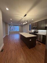 215 S Hamilton Ave in Chicago, IL - Building Photo - Building Photo