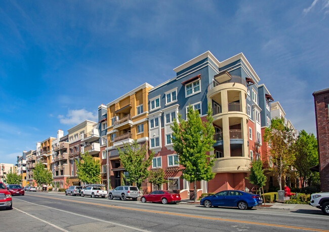 Cannery Square at Monte Vista in San Jose, CA - Foto de edificio - Building Photo