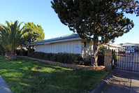 Cedar Garden Apartment in Escondido, CA - Foto de edificio - Building Photo