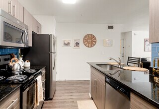 Lodge in San Marcos in San Marcos, TX - Building Photo - Building Photo